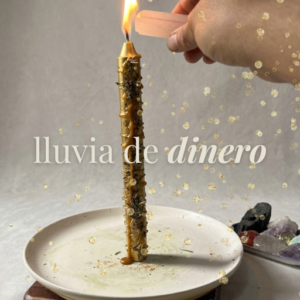 Lluvia de dinero: atrae abundancia y flujo de dinero a tu vida