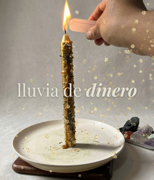 Lluvia de dinero: atrae abundancia y flujo de dinero a tu vida